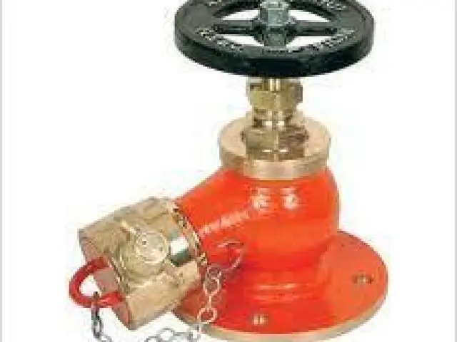 FIRE HYDRANT VALVES IN KOLKATA - 1