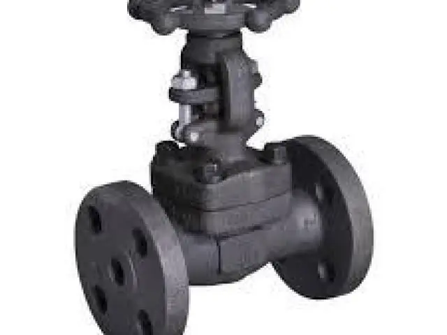STEAM VALVES SUPPLIERS IN KOLKATA - 1