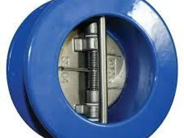 DUAL PLATE CHECK VALVES IN KOLKATA - 1